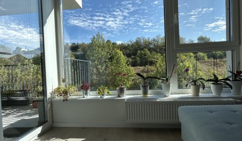 Rent One bedroom apartment, One bedroom apartment, Petelenova, Banská 