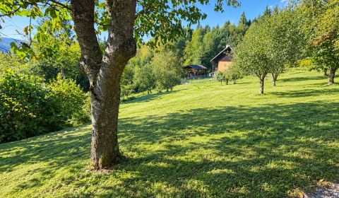 Sale Land – for living, Land – for living, Bukovská cesta, Čadca, Slov