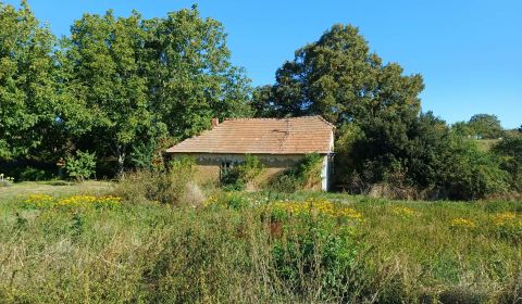 Sale Land – for living, Land – for living, Hlavná, Nitra, Slovakia