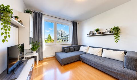 3-Room Apartment for Sale with Balcony and Greenery View | Rumančeková