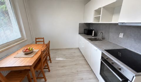 Rent One bedroom apartment, One bedroom apartment, Štefánikova, Senica