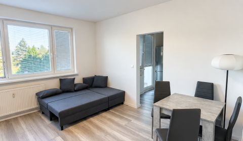 Rent One bedroom apartment, One bedroom apartment, Hraničná, Bratislav