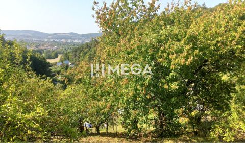 Sale Gardens, Gardens, Humenné, Humenné, Slovakia