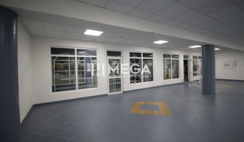 Rent Commercial premises, Commercial premises, Nám. slobody, Humenné, 