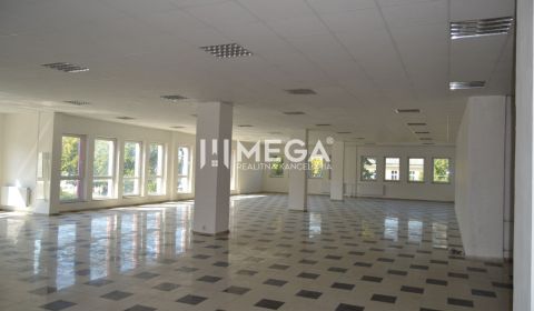 Rent Commercial premises, Commercial premises, námestie slobody, Humen