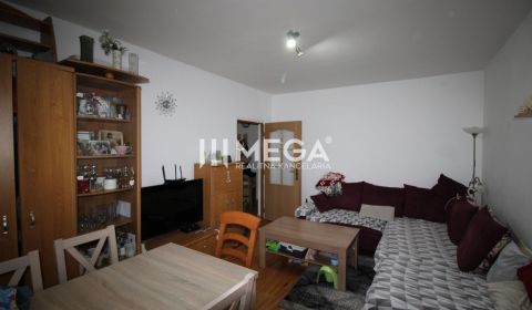 Sale One bedroom apartment, One bedroom apartment, Palárikova, Snina, 