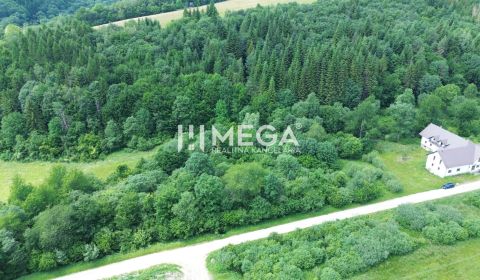 Sale Land – for living, Land – for living, Danová, Medzilaborce, Slova