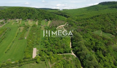 Sale Gardens, Gardens, Michalovce, Slovakia