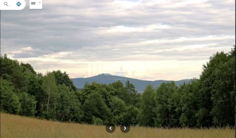 Sale Agrarian and forest land, Agrarian and forest land, Humenné, Slov