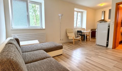 Sale Single studio, Single studio, Andrusovova, Bratislava - Petržalka