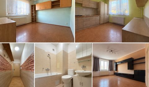 Sale One bedroom apartment, One bedroom apartment, 1.maja, Púchov, Slo