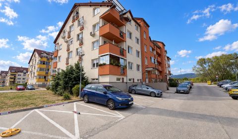 PEZINOK-SPacious 2-room apartment with a loggia and a wardrobe 