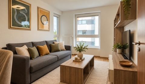 Sale One bedroom apartment, One bedroom apartment, Muchovo nám., Brati