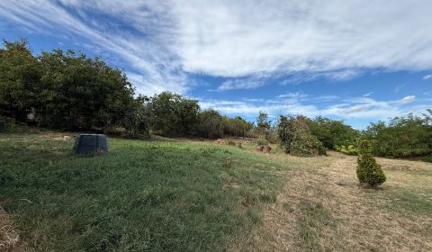 Sale Land – for living, Land – for living, Topoľčany, Slovakia