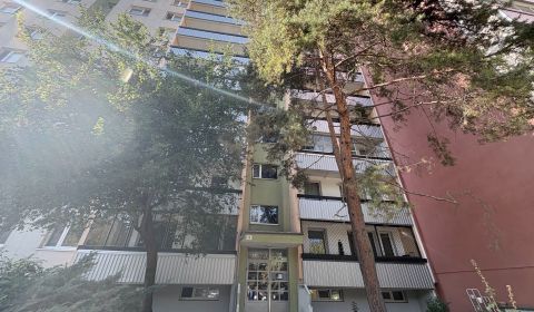 Sale Studio, Studio, Ľuda Zúbka, Bratislava - Dúbravka, Slovakia