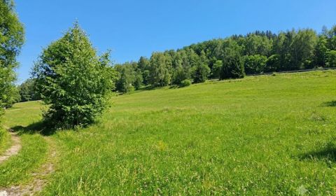 Sale Land – for living, Land – for living, Detva, Slovakia