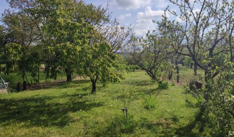 Sale Land – for living, Land – for living, Kaluža, Michalovce, Slovaki