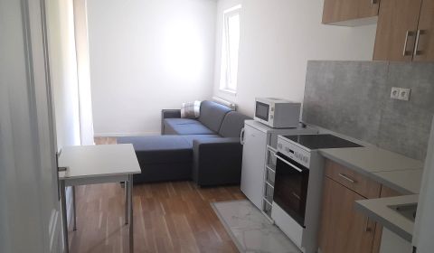 Rent One bedroom apartment, One bedroom apartment, Ľadová, Bratislava 
