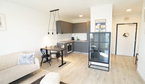 Sale One bedroom apartment, One bedroom apartment, Hraničná, Bratislav