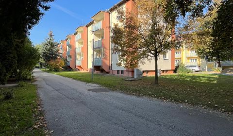 Sale One bedroom apartment, One bedroom apartment, Gen. Viesta, Trenčí