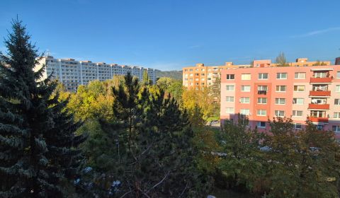 Sale One bedroom apartment, One bedroom apartment, Kubínska, Žilina, S