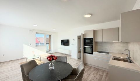 Rent One bedroom apartment, One bedroom apartment, Šámot, Dunajská Str