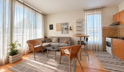 Rent One bedroom apartment, One bedroom apartment, Vlárska, Trenčín, S