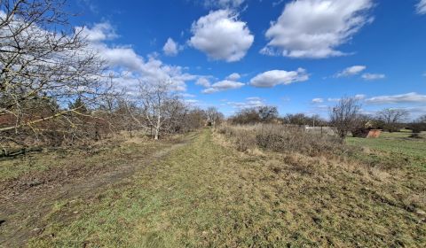 Sale Land – for living, Land – for living, Športová, Senec, Slovakia
