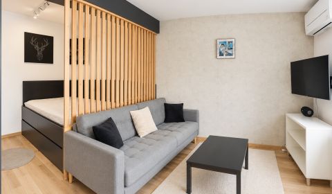 Studio apartment for rent with terrace, Nové Mesto