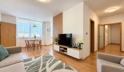 Rent One bedroom apartment, One bedroom apartment, Bezručova, Trenčín,