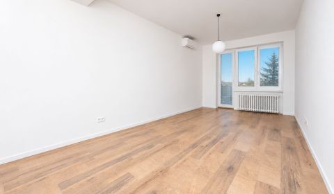 Bright 1-bedroom apartment for rent, Old Town