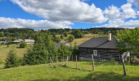 Sale Cottage, Cottage, Biele Vody, Detva, Slovakia
