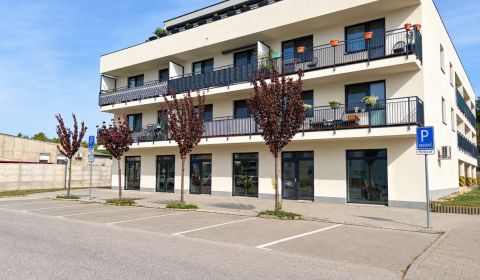 Sale One bedroom apartment, One bedroom apartment, Topoľová, Trnava, S