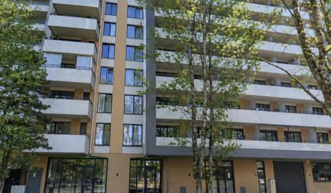 Sale Single studio, Single studio, Antolská, Bratislava - Petržalka, S