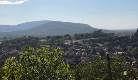 Sale Recreational land, Recreational land, Spätná cesta, Bratislava - 