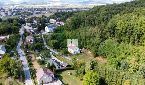 Sale Family house, Family house, Ilava, Slovakia