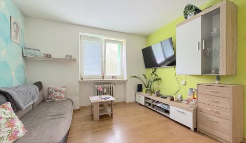 Sale Studio, Studio, Bratislavská, Ilava, Slovakia
