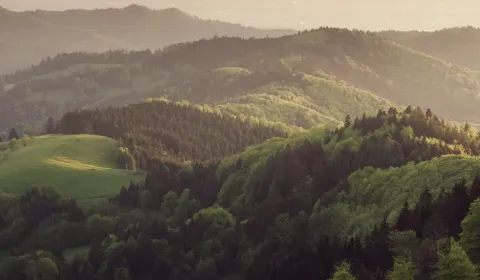 Sale Agrarian and forest land, Humenné, Slovakia