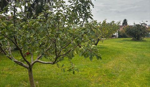Sale Land – for living, Land – for living, Kupeckého, Pezinok, Slovaki