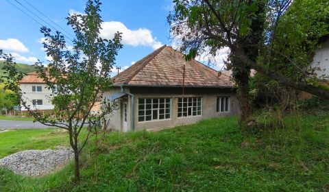 Sale Family house, Family house, Veľký Krtíš, Slovakia
