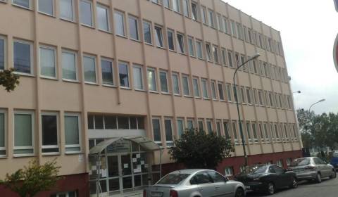 Offices, Pluhová, Rent, Bratislava - Nové Mesto, Slovakia