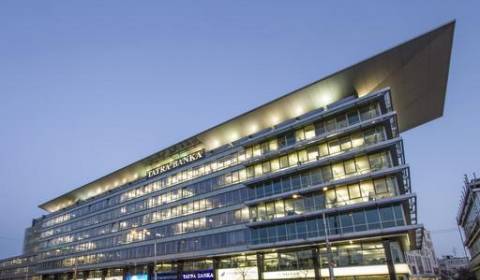 Offices, Hodžovo námestie, Rent, Bratislava - Staré Mesto, Slovakia
