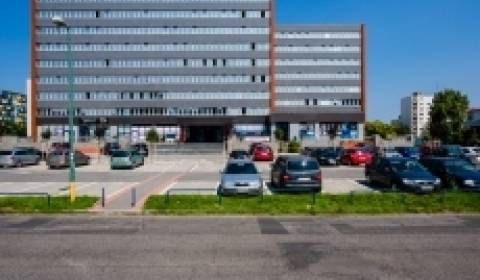 Offices, Seberíniho, Rent, Bratislava II, Slovakia