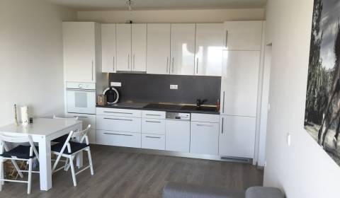 Rent One bedroom apartment, One bedroom apartment, Jelenecká, Nitra, S