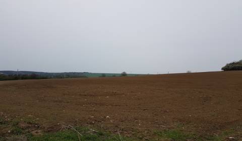Land – for living, Sale, Nitra, Slovakia