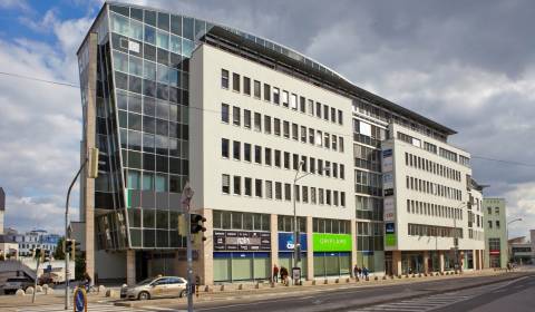Offices, Suché mýto, Rent, Bratislava - Staré Mesto, Slovakia