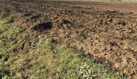 Sale Land plots - commercial, Land plots - commercial, Trnava, Slovaki