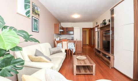Rent One bedroom apartment, One bedroom apartment, Jégého, Bratislava