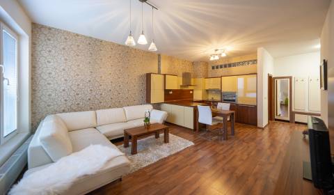 Spacious 1 bdr apt, 60 m2, furnished, loggia