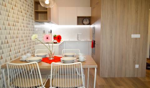 NEW BRAND BUILDING FUXOVA (F2) | DESIGN TWO-ROOM APARTMENT FOR RENT